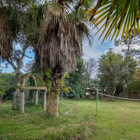 Tatil Evi Les Chats Perches 400m D Labenne