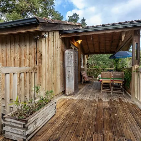 Les Chats Perches 400m D Tatil Evi Labenne