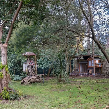 Les Chats Perches 400m D *