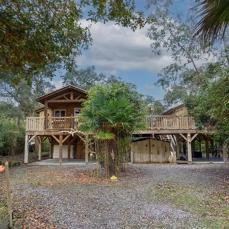 Les Chats Perches 400m D *