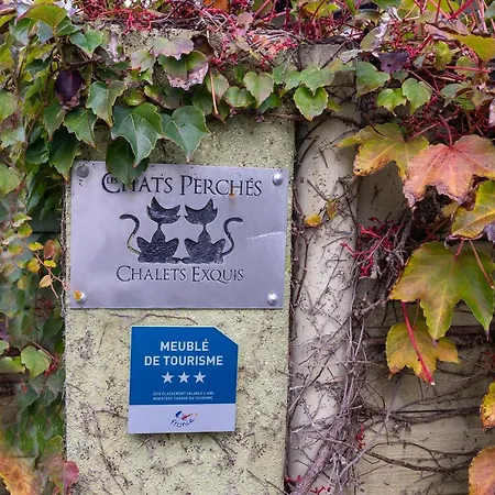 Les Chats Perches 400m D Tatil Evi Labenne