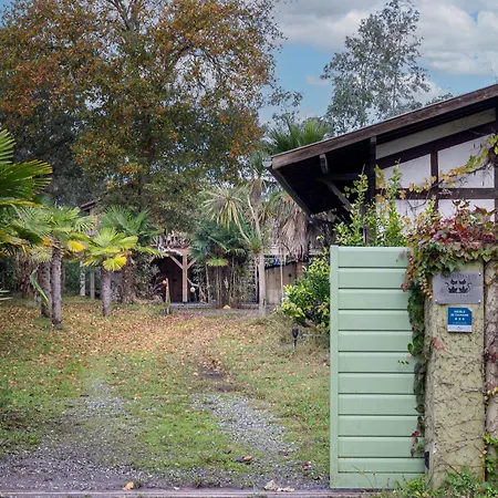 Les Chats Perches 400m D Tatil Evi