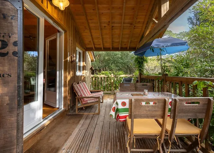 Les Chats Perchés 400m D Hébergement de vacances *