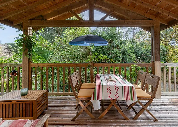 Les Chats Perchés 400m D * Labenne