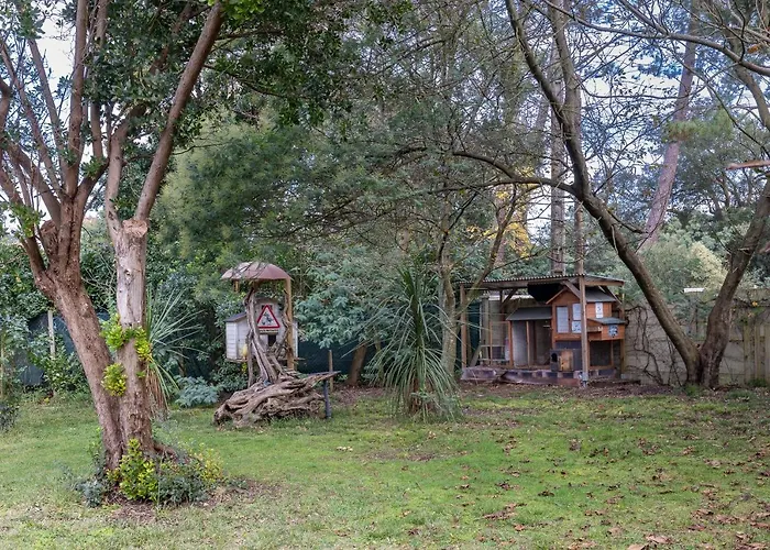 Les Chats Perchés 400m D *