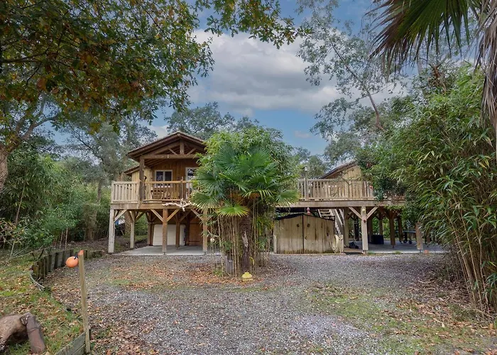 Les Chats Perchés 400m D *