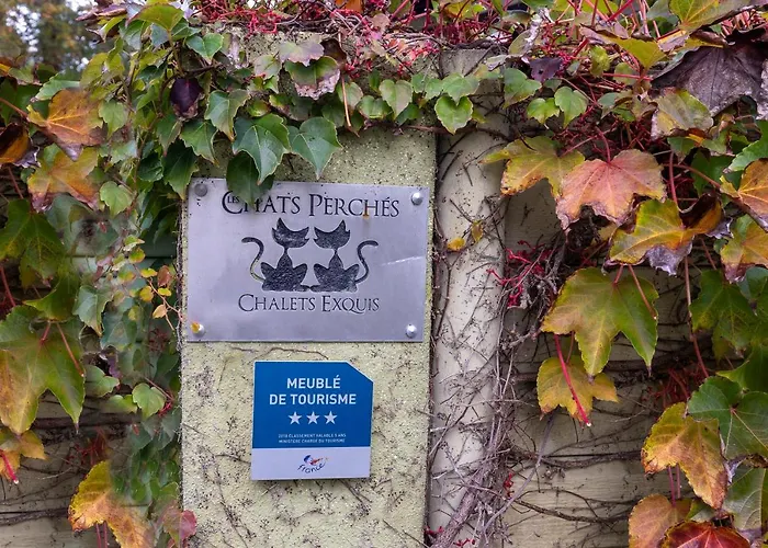 Les Chats Perchés 400m D Hébergement de vacances Labenne