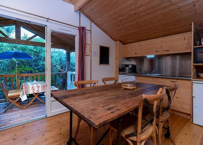 Les Chats Perches 400m D *