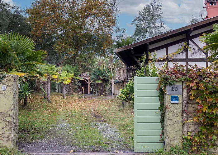 Les Chats Perchés 400m D Hébergement de vacances